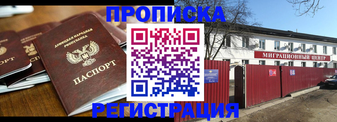 временная регистрация недорого в Павловске